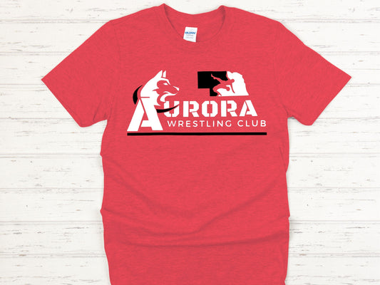 NE USA STATE WRESTLING