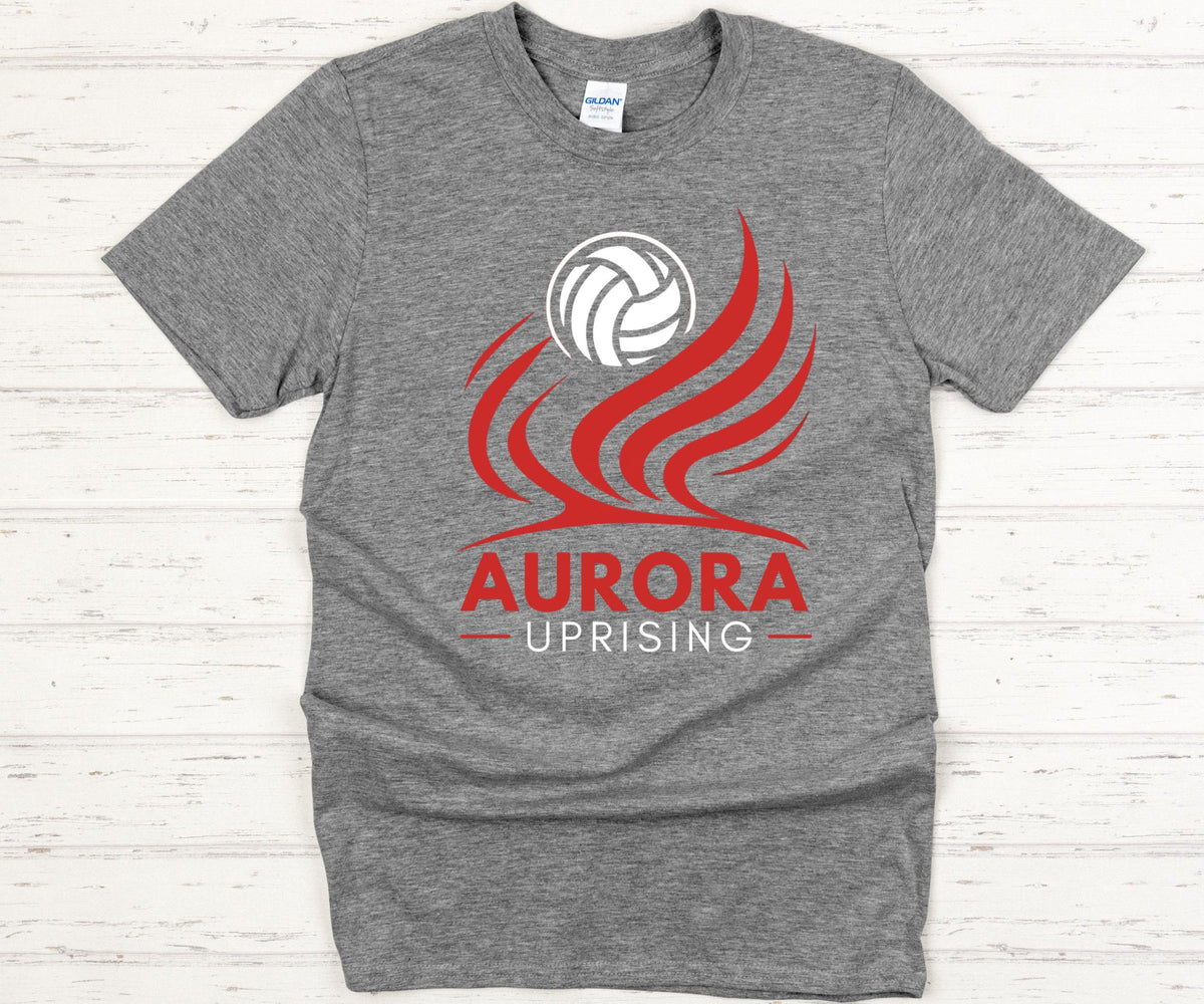 Gray Aurora Uprising Option 2