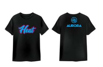 Short Sleeve T-shirt with Heat Graphic